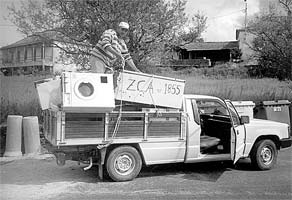 Caçadores limpam floresta