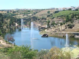 Fresno com cara nova