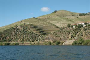 Revidouro reforça internacionalização