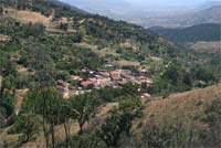 Burga renasce das cinzas