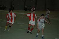 Rebordãos à beira do fim