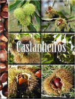 Castanheiros portugueses em livro
