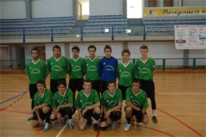 Pinheiro bravo