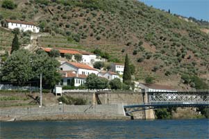 Livro enaltece a cultura imaterial do Douro