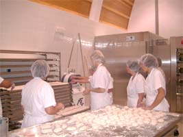 Misericórdia de Vila Flor cria empresas de inserção