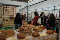 Feira do Folar de Valpaços comemora dez anos