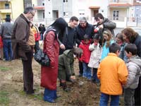 Crianças de Bragança plantam 200 árvores