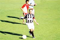 Festival de cartões