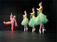 Ballet encanta Mogadouro