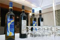 Planalto Mirandês lança novos vinhos