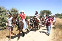 Burro e gaiteiro protagonizam festival
