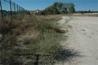 Campo do Izeda sem condições