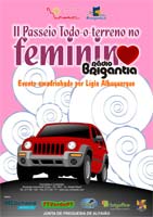 Mulheres ao volante