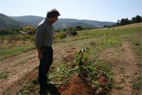 Rural Castanea aposta no aumento da produção