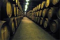 Instituto dos Vinhos do Porto com nova direcção