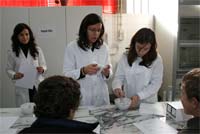 Cientistas de palmo e meio