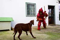 Caretos fazem a festa em Salsas