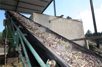 Azeite com a marca da Sabodouro