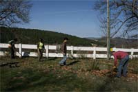 Azimute planta árvores