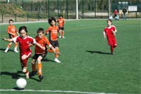 Montes de bola