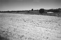 Seca preocupa agricultores do Planalto Mirandês