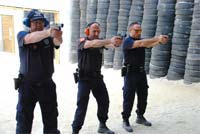 Seguros de arma em punho