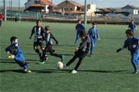 Muita vontade
