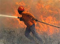 138 fogos consumiram 4345 hectares