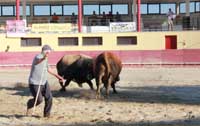 Campeonato está a crescer