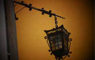 Freixo poupa na luz