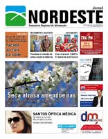 Edição PDF 797