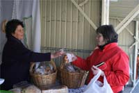 Amendoeiras sem flor em Mogadouro