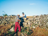 Mentalidade dificulta emparcelamento