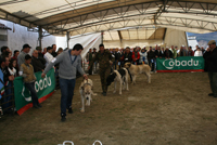 Moimenta vai ter Museu do Contrabando