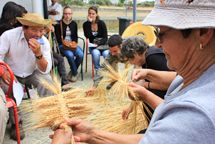 Duas Igrejas recria segada