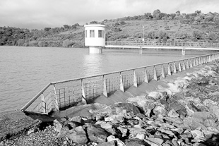 Mogadouro apela à poupança de água