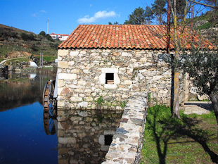 Projecto ibérico reabilita espaços naturais degradados