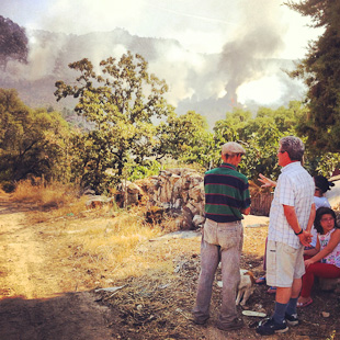 Incêndio causa prejuízos avultados na aldeia de Pereiros