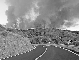 Incêndio lançou pânico em Bornes