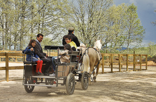 Parque Biológico arrasta milhares de pessoas