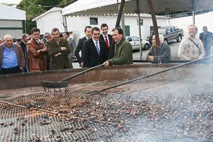 Ano de menos castanha, mas mais proveitos para produtores