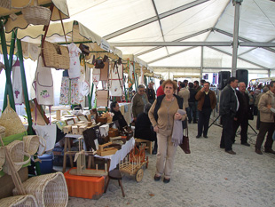 Vale Gouvinhas junta azeitona e mecanização agrícola