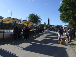 Suçães acolheu feira dedicada ao pão e azeite