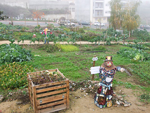 Espantalhos dão vida às Hortas Comunitárias