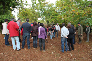 Professores aprendem a identificar cogumelos
