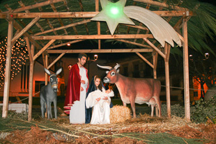 Alunos do Secundário recriam presépio vivo