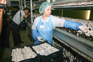 Investimentos privados criam 80 postos de trabalho