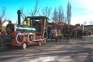 Crianças e idosos divertem-se