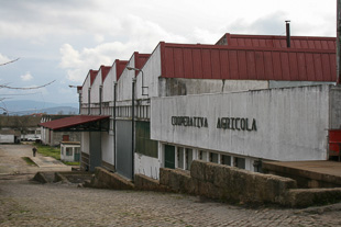 Lagar é o coração da Cooperativa