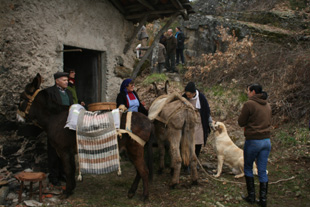 Moinhos de água voltaram a moer cereal